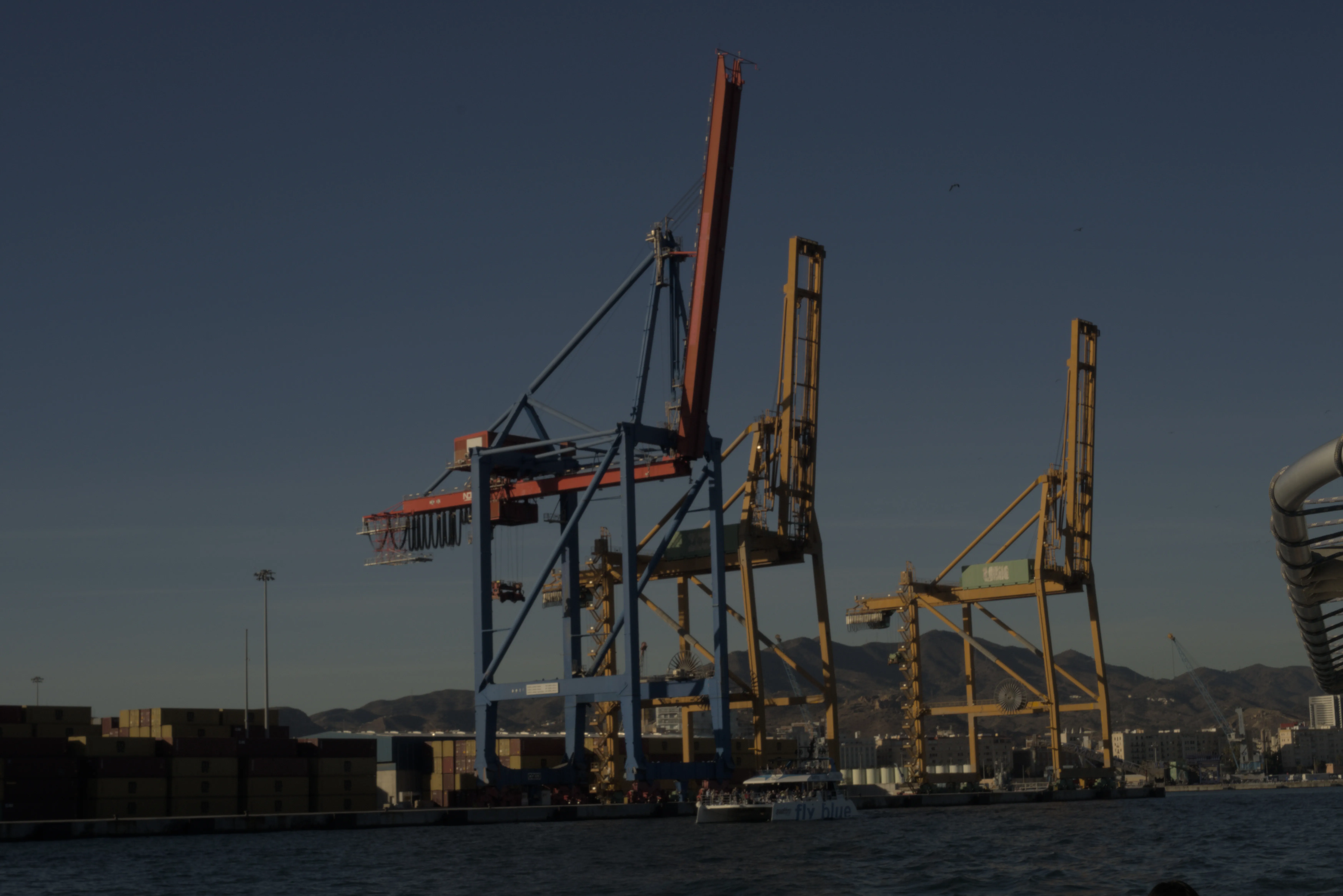 Meyer-Optik Görlitz Primagon 35mm f4.5 (M42) - _I4A4276.webp